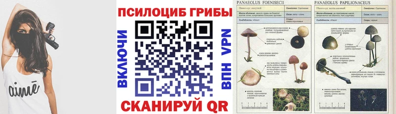 Псилоцибиновые грибы прущие грибы  shop Telegram  Ярцево 